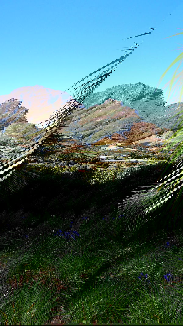 taylor.creeden taylor.creeden archive image