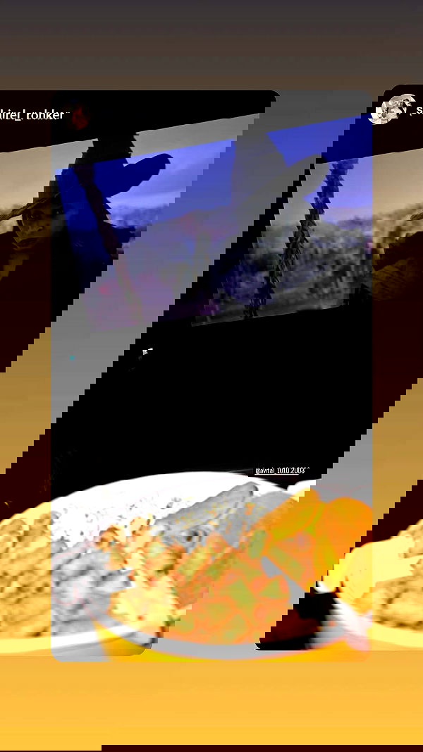 avital_1010.2003 image ~ Altpins