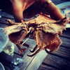 alexandradaddario Altpins Profile Picture
