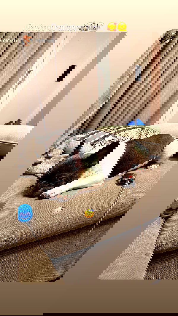 danaikontodiou danaikontodiou archive image