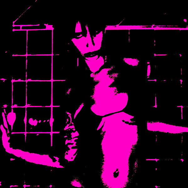 bentevviolet archive image