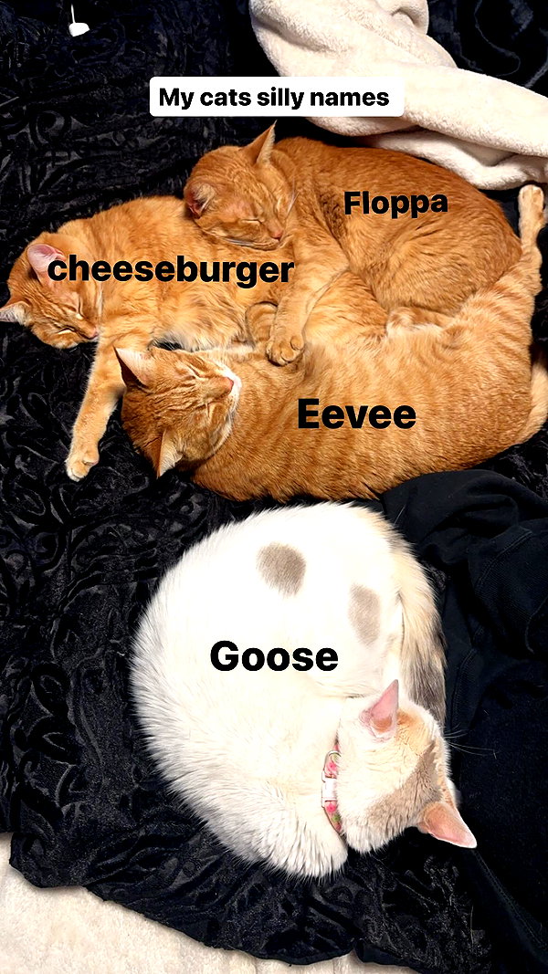 butter.on.a.poptart69 instagram image archive image