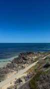 sandrineburgess Altpins Profile Picture