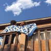 evasela__ Altpins Profile Picture
