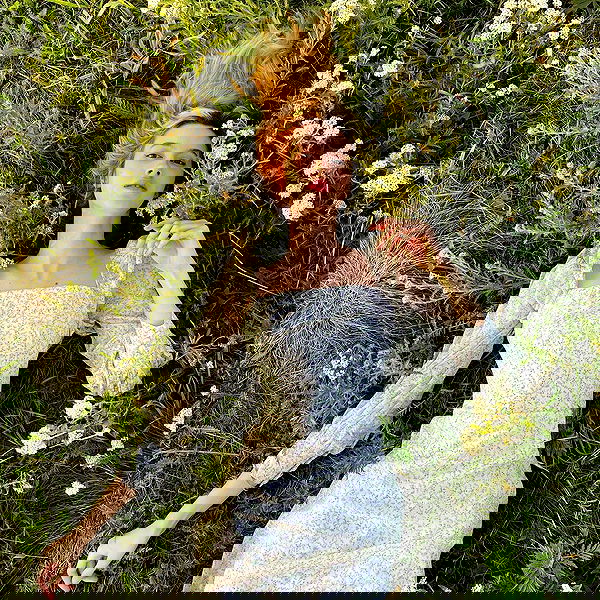 hanna_ky hanna_ky archive image