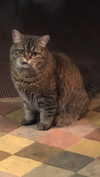 hoodifruit Altpins Profile Picture