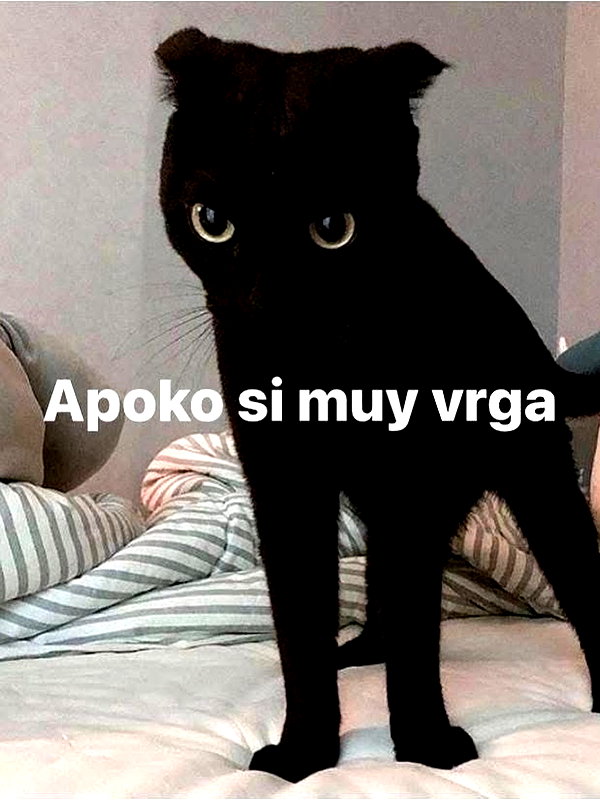 lulymakima instagram image archive image