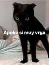 lulymakima Altpins Profile Picture