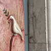 stranstviepera Altpins Profile Picture