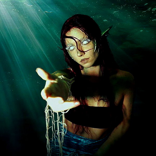 parkenharbor instagram image archive image