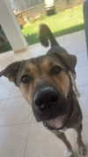 moonliliaght Altpins Profile Picture