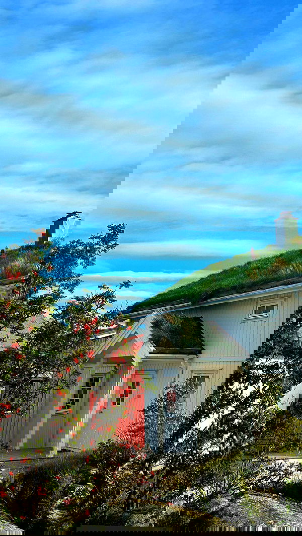 taylor.creeden taylor.creeden archive image