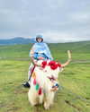 qar___1002 Altpins Profile Picture