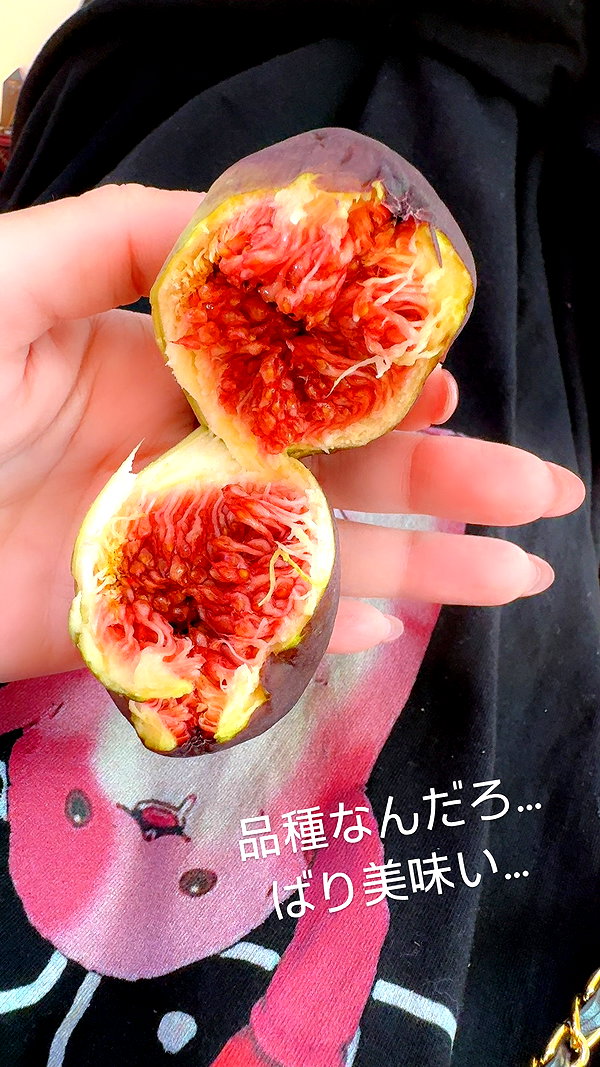 nanasemeron instagram image archive image