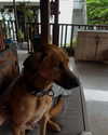 poppyymatildaa Altpins Profile Picture