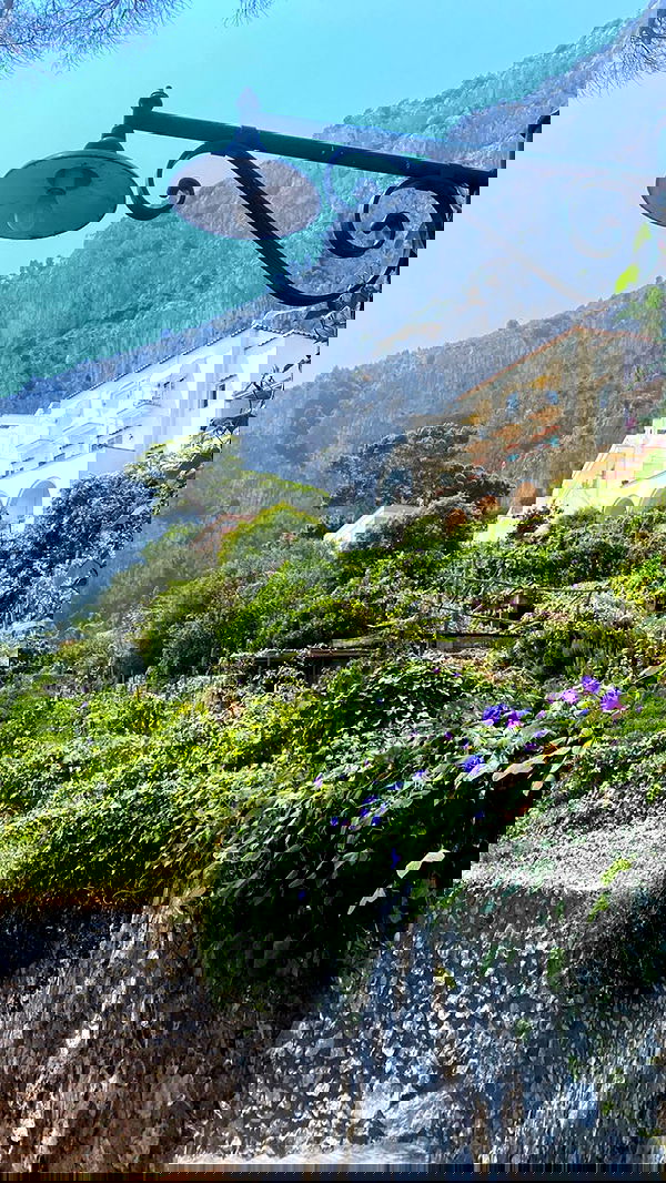 taylor.creeden taylor.creeden archive image