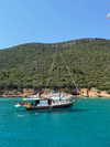 1vecua Altpins Profile Picture
