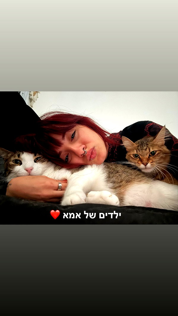 shaharo__._ instagram image archive image