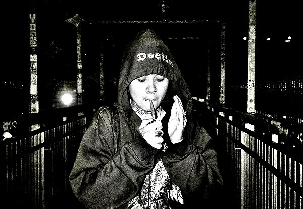 bugz4brainz instagram image archive image