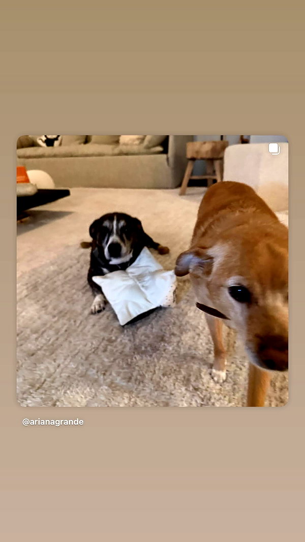 arianagrande instagram image archive image