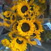 elizabethcampbelljones Altpins Profile Picture