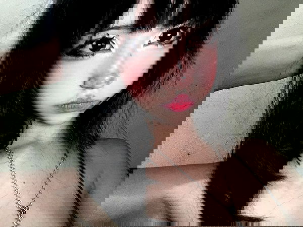 starttles starttles archive image