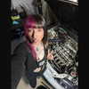 luucifina Altpins Profile Picture