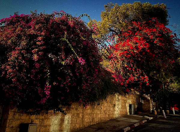 _femalien instagram image archive image