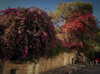 _femalien Altpins Profile Picture