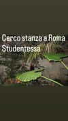 brillacomecamillaa Altpins Profile Picture
