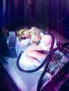 blossom_in_my_moonlight Altpins Profile Picture