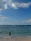 rouxroux.tv Altpins Profile Picture