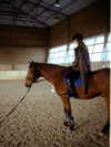 levsave Altpins Profile Picture