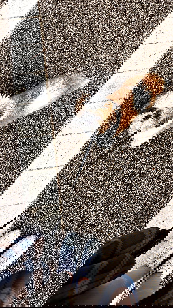 noammalka___ noammalka___ archive image