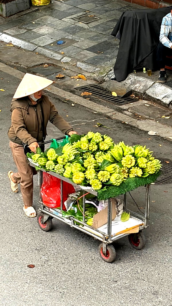elia.shinar instagram image archive image