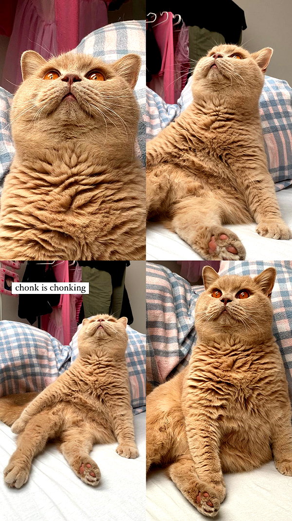 andasrose instagram image archive image