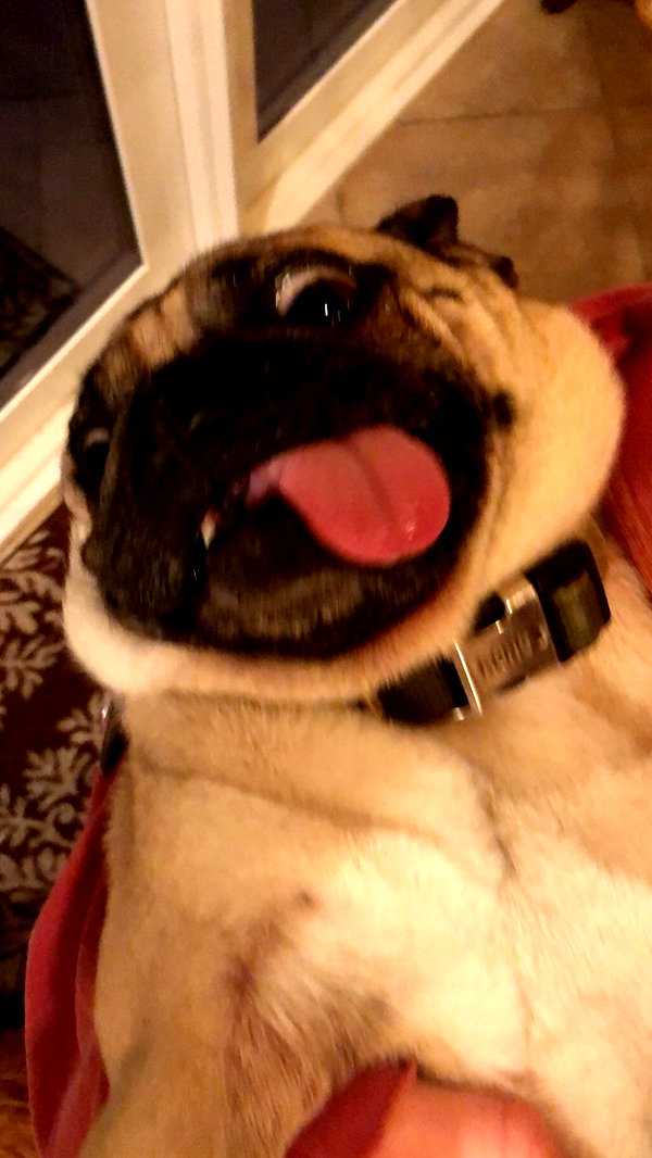 allie_dunn instagram image archive image