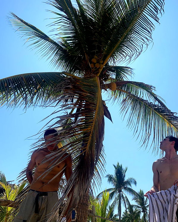 alexconsani instagram image archive image