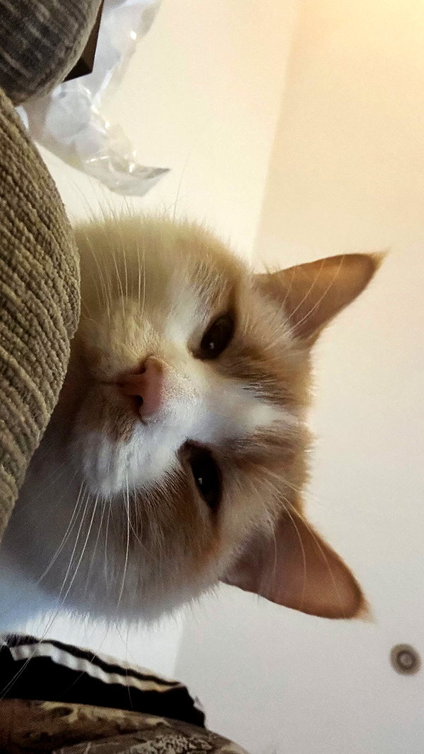 charley.chambers instagram image archive image