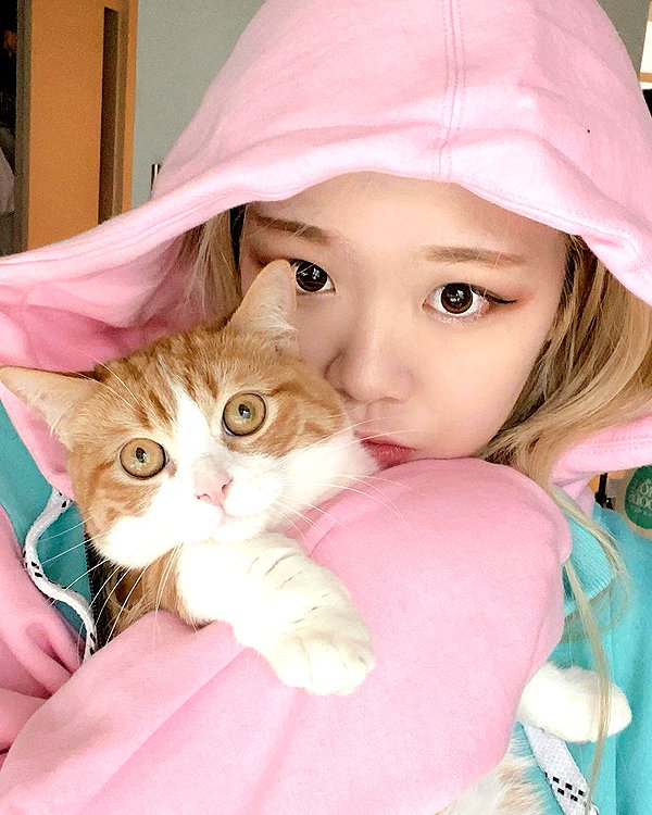 igumdrop instagram image archive image