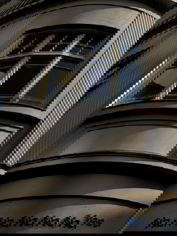 noa_zemlyanski noa_zemlyanski archive image