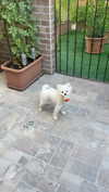 elsgatti Altpins Profile Picture