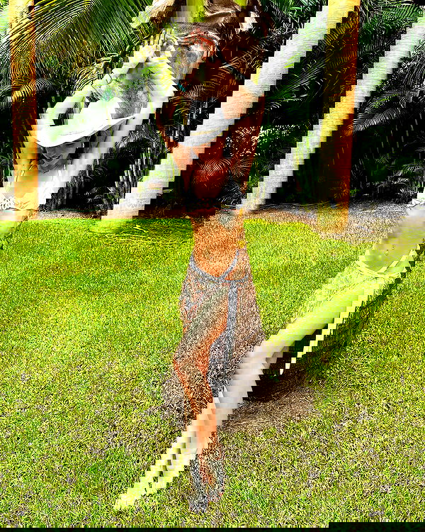 taylor.creeden taylor.creeden archive image