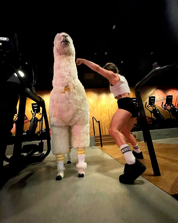 leanbeefpatty instagram image archive image