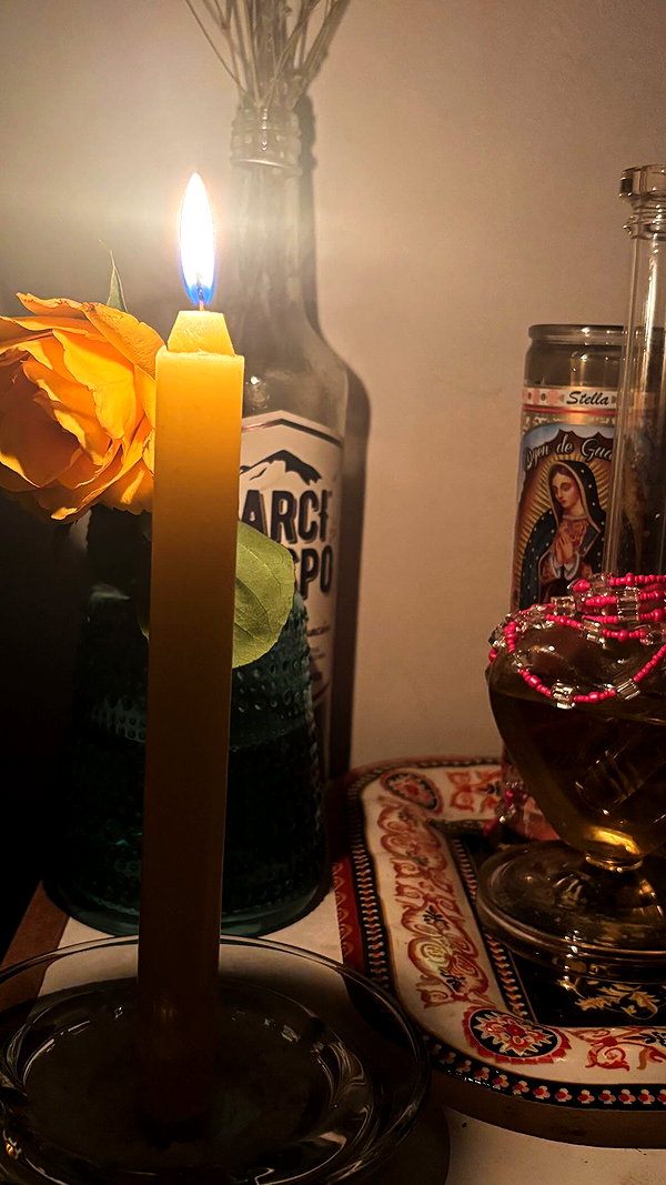 lasaaagna instagram image archive image