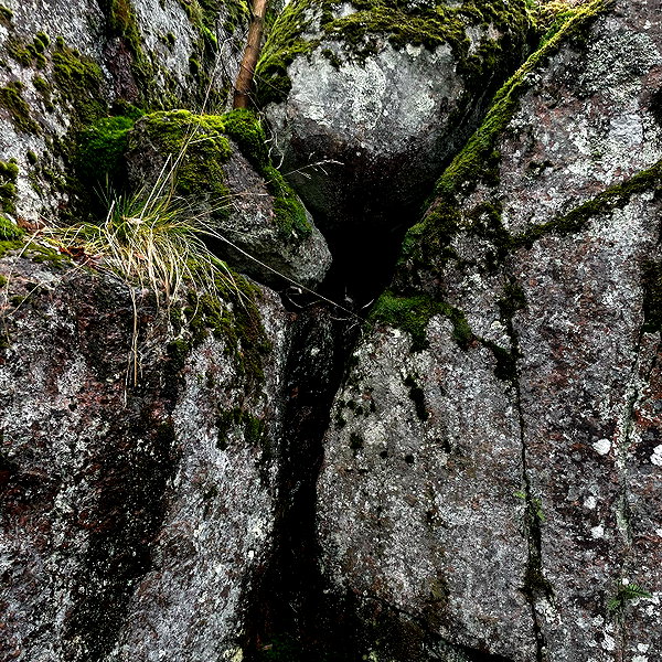 vvelum_ instagram image archive image