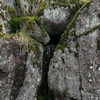 vvelum_ Altpins Profile Picture