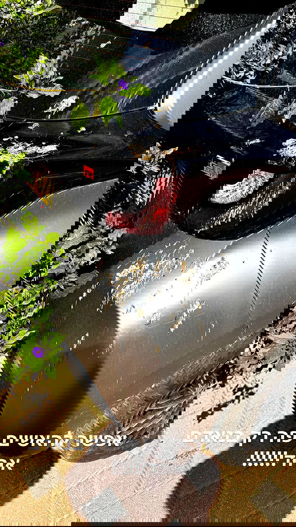 bbyerikss bbyerikss archive image