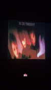 burnnherr Altpins Profile Picture