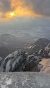 lalytoples Altpins Profile Picture